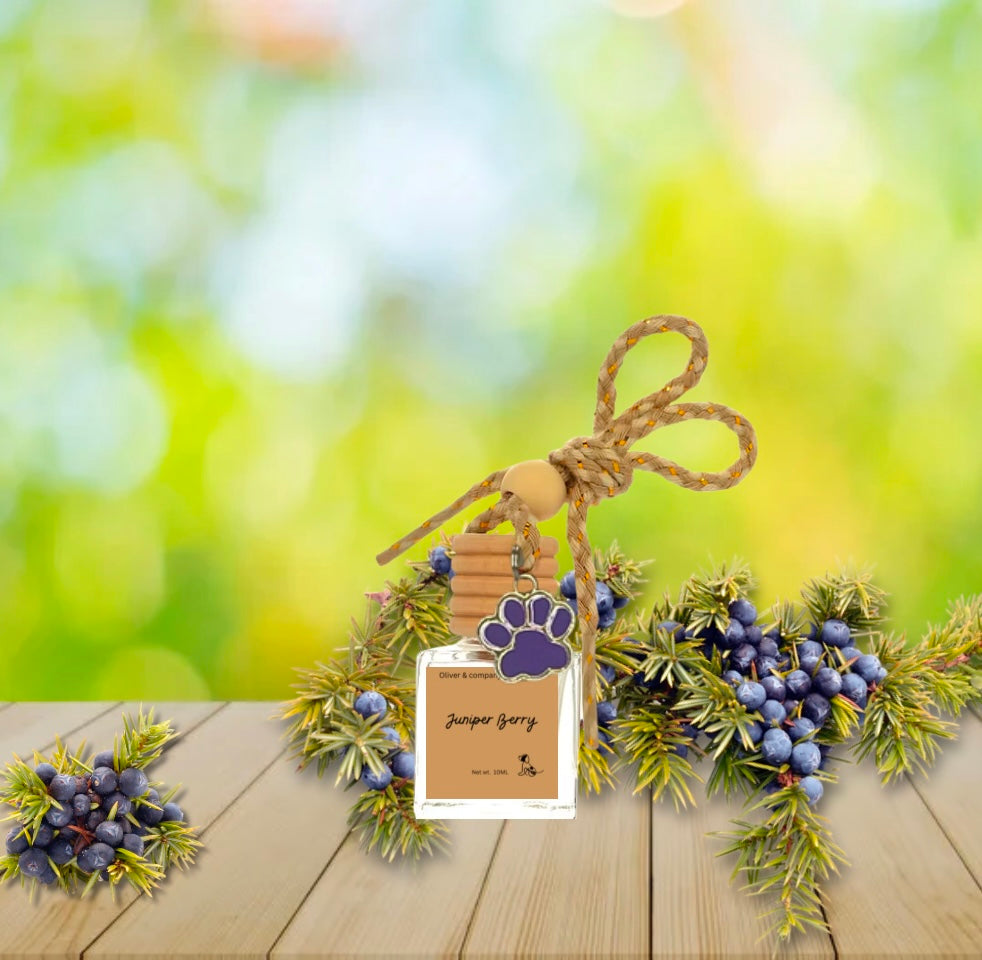 Juniper Berry