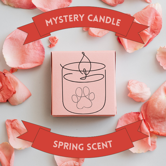Mystery Spring candle