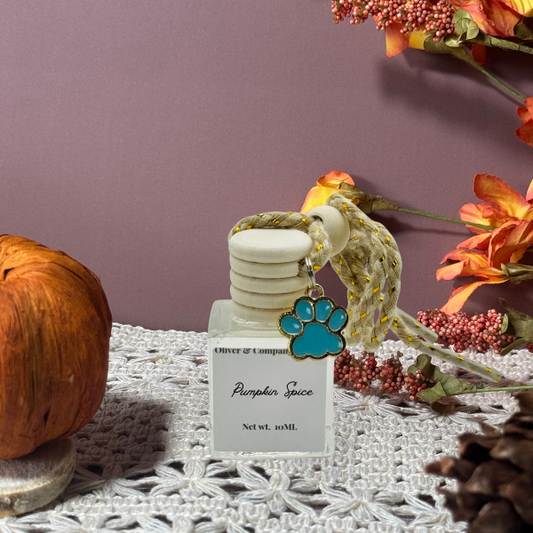 Pumpkin Spice - car diffuser-