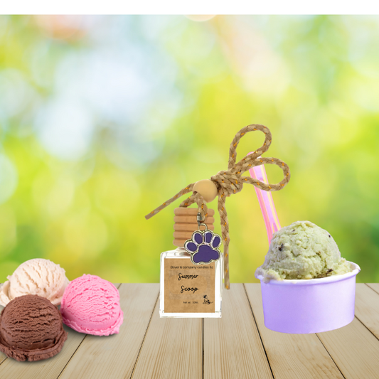 Summer Scoop